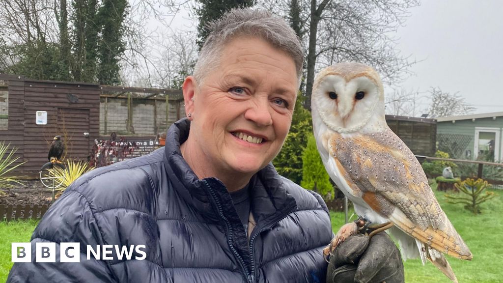 You are currently viewing Dorset wildlife centre ‘heartbroken’ to end rescue service