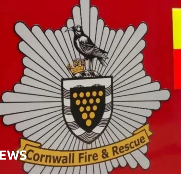 Horse rescued after getting stuck in pond on Carbis Moor