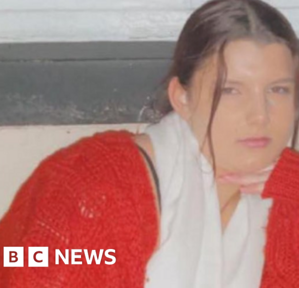 Teen who died fleeing police on M5 had tried to escape before