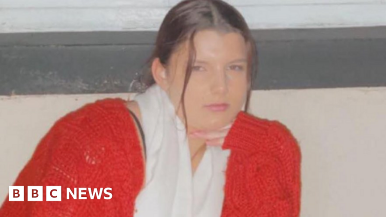 Read more about the article Teen who died fleeing police on M5 had tried to escape before