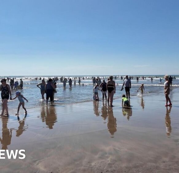 Emerging travel trends key for Devon’s tourism industry