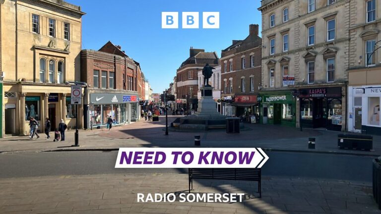 Read more about the article Need To Know Somerset