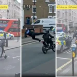 Mail journalist fooled by obvious AI video